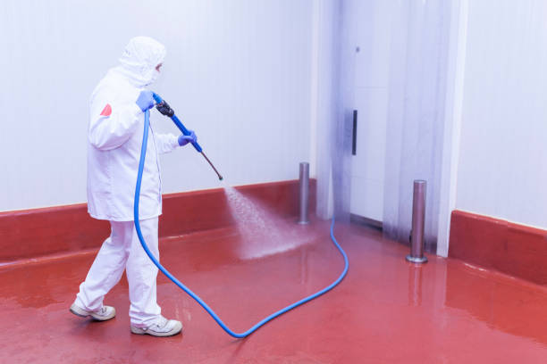 Best Pre-Holiday Cleaning  in Newport, DE