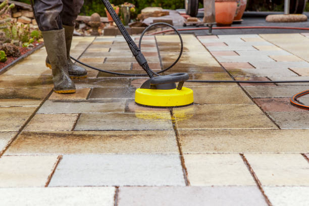 Best Sidewalk and Walkway Cleaning  in Newport, DE